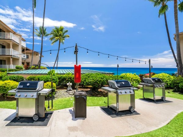 Kailua Kona Home 1000743