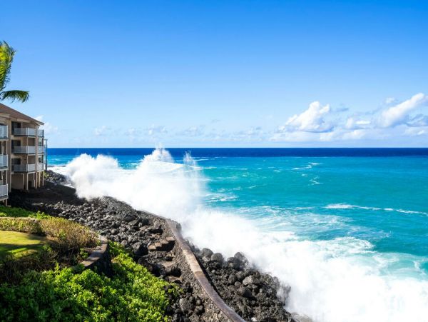 Kailua Kona Home 1000743
