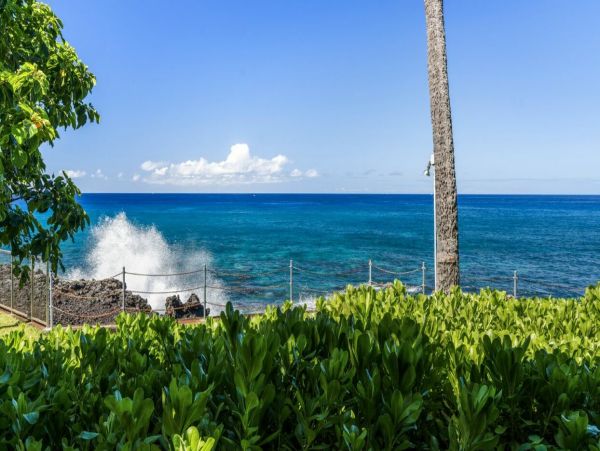 Kailua Kona Home 1000747