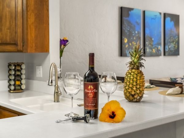 Kailua Kona Home 1000759