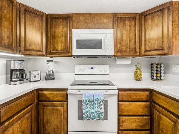 Kailua Kona Home 1000759