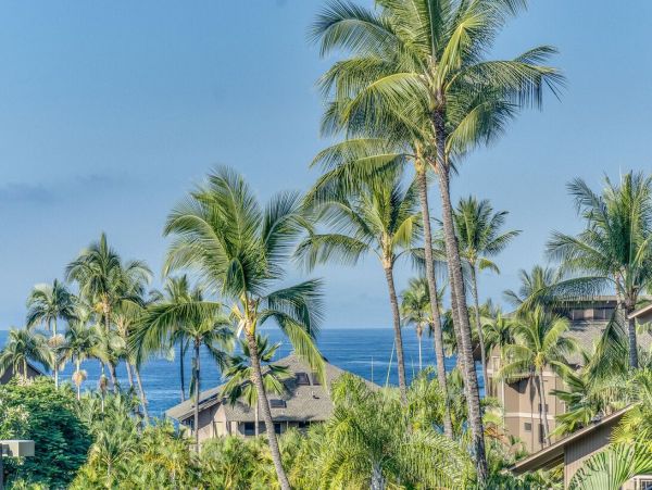 Kailua Kona Home 1000760