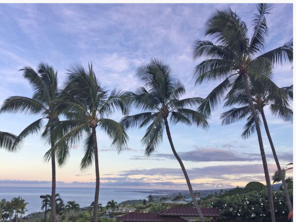 Kailua Kona Home 1000761