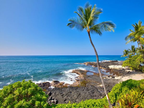 Kailua Kona Home 1000765