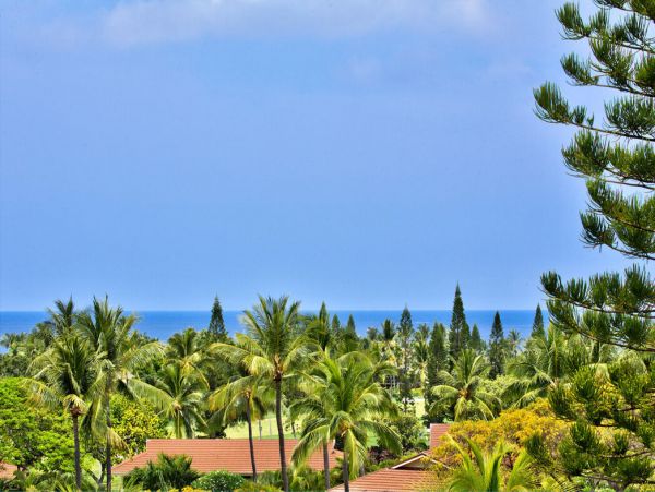 Kailua Kona Home 1000767