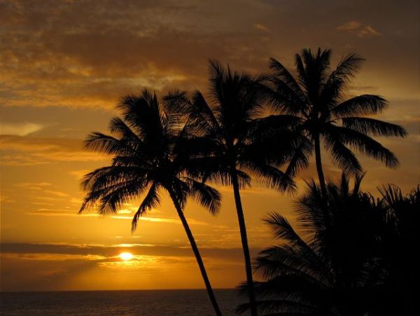 Kailua Kona Home 1000768