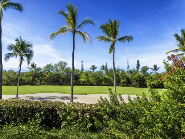 Kailua Kona Home 1000771