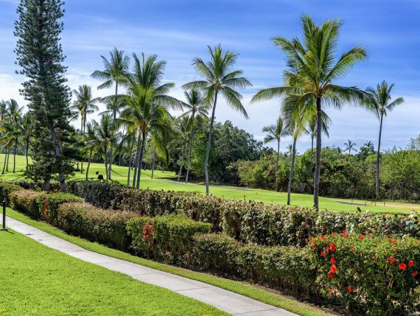 Kailua Kona Home 1000771