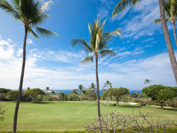 Kailua Kona Home 1000778