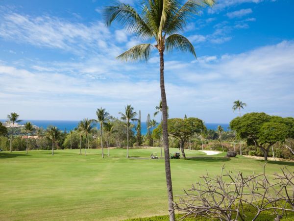 Kailua Kona Home 1000778