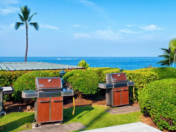 Kailua Kona Home 1000781