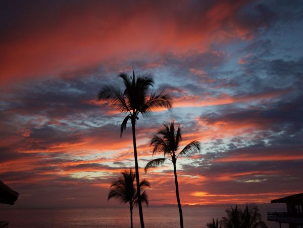 Kailua Kona Home 1000782