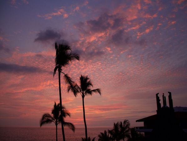 Kailua Kona Home 1000782