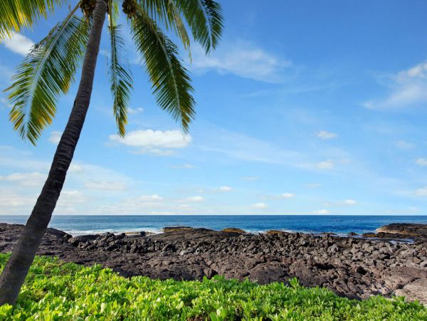 Kailua Kona Home 1000788