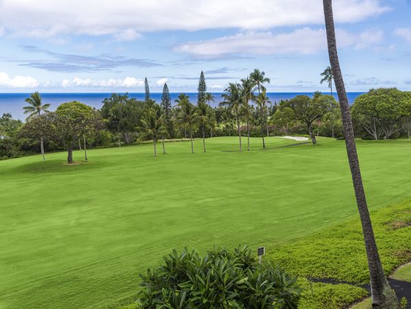 Kailua Kona Home 1000789
