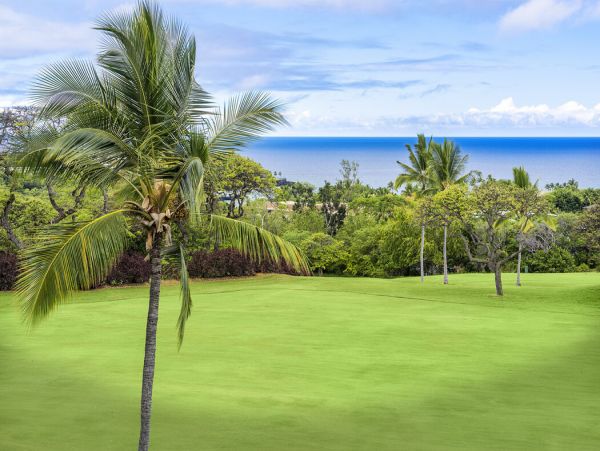 Kailua Kona Home 1000789