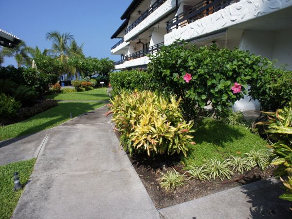 Kailua Kona Home 1000792