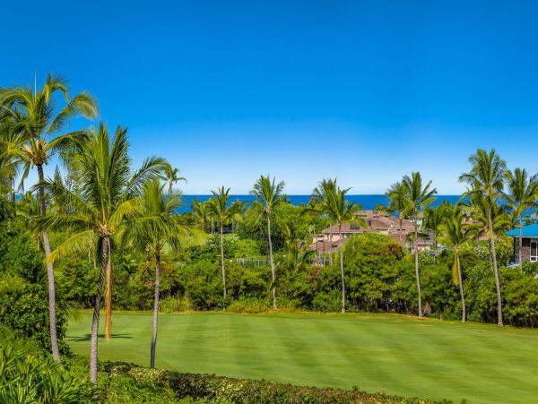 Kailua Kona Home 1000805