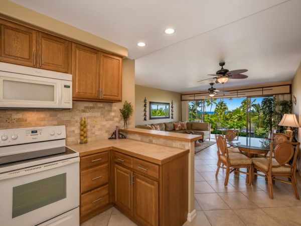 Kailua Kona Home 1000805