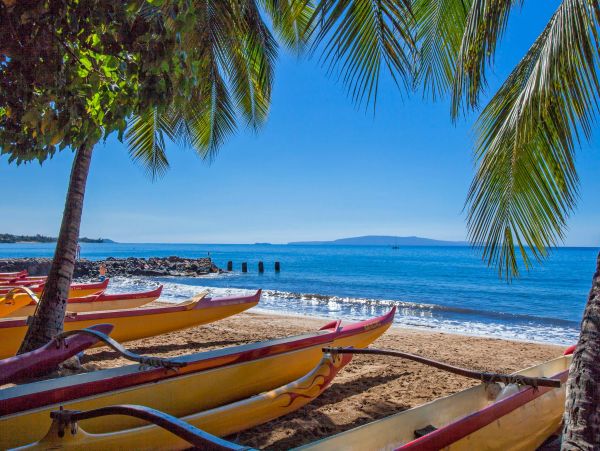 Spacious & Comfortable Vacation Condo in Kihei Walk To Beach