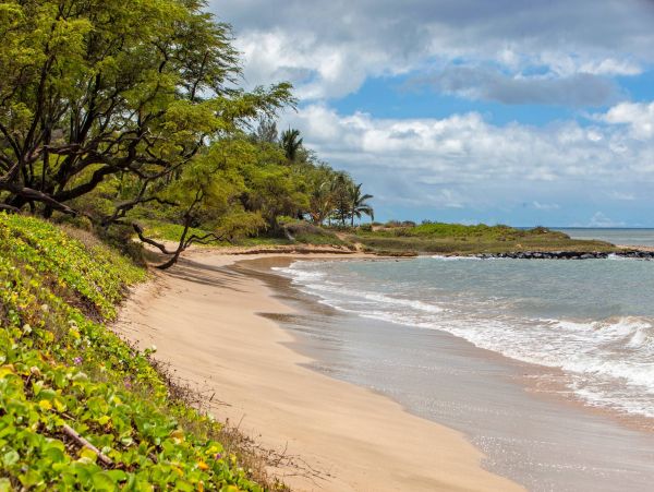 Spacious & Comfortable Vacation Condo in Kihei Walk To Beach