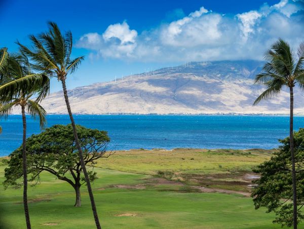 Spacious & Comfortable Vacation Condo in Kihei Walk To Beach