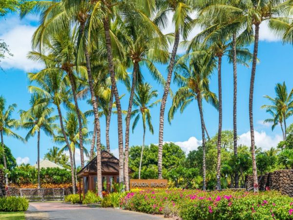 Kohala Coast Home 1000816