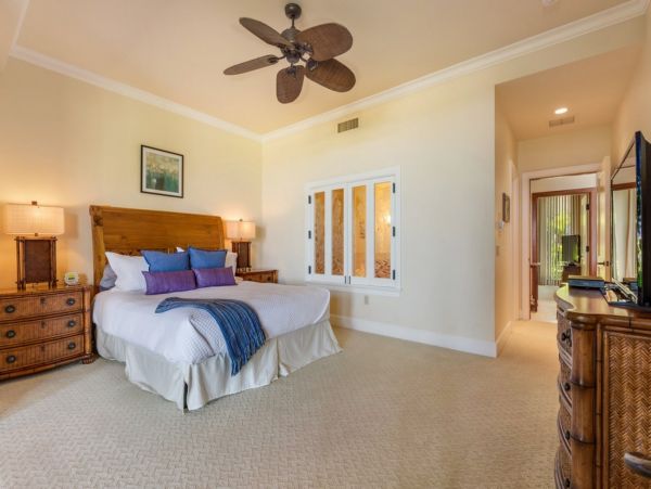 Kohala Coast Home 1000817
