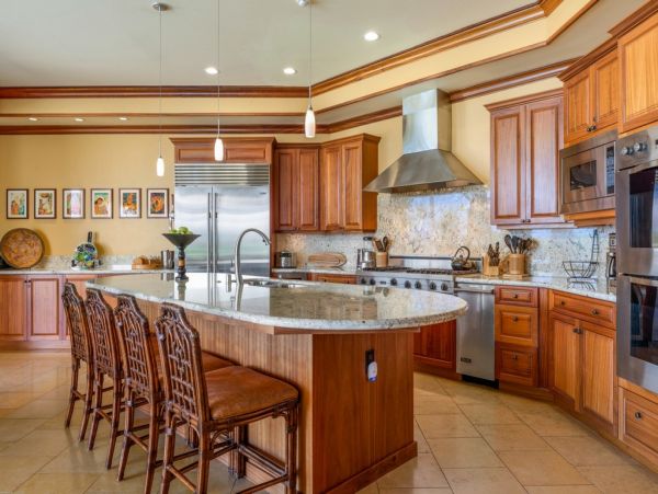 Kohala Coast Home 1000819