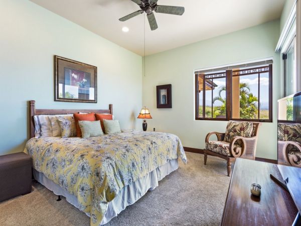 Kohala Coast Home 1000823