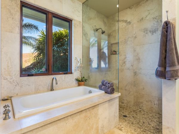 Kohala Coast Home 1000823
