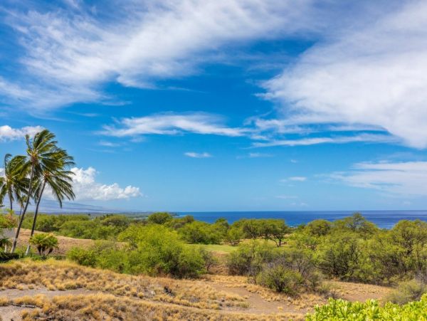 Kohala Coast Home 1000824
