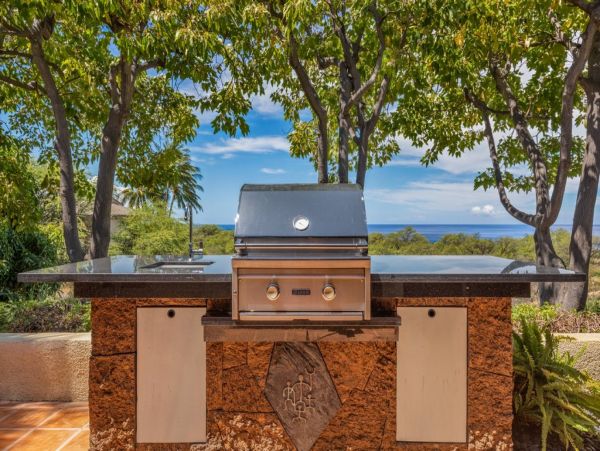 Kohala Coast Home 1000824
