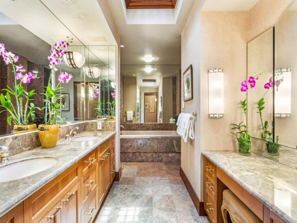 Kohala Coast Home 1000825