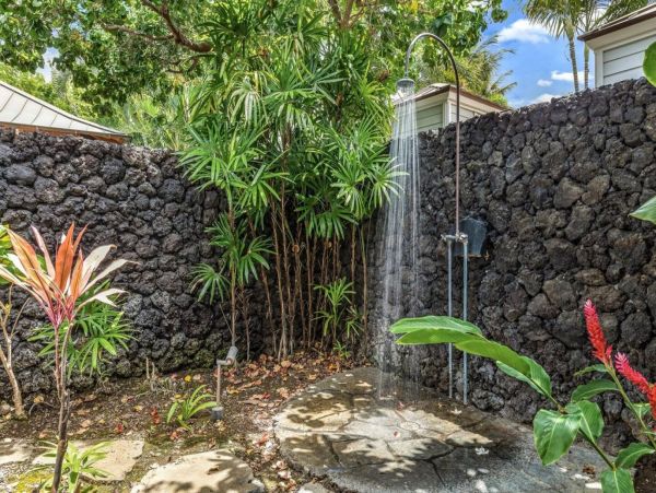 Kohala Coast Home 1000828