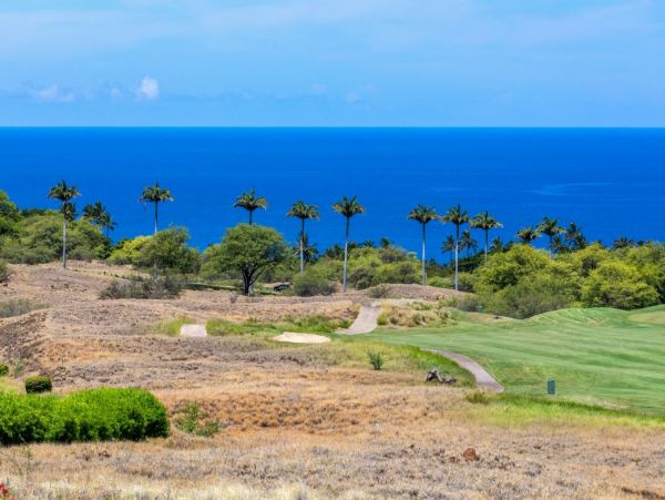 Kohala Coast Condo 1000832