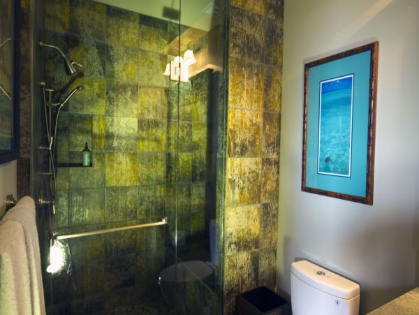 Kohala Coast Home 1000834