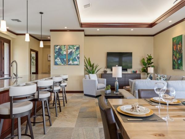 Kohala Coast Home 1000836