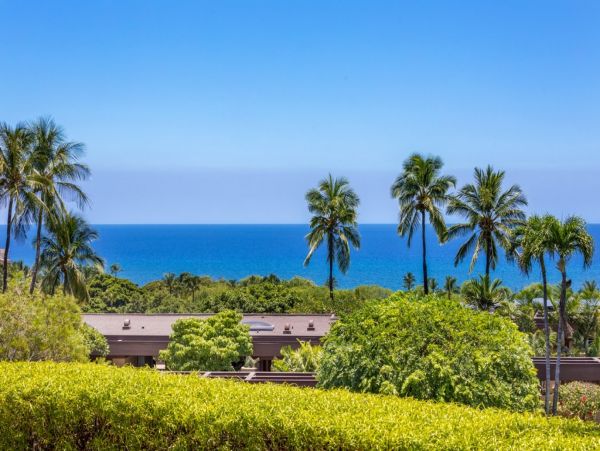 Kohala Coast Home 1000838