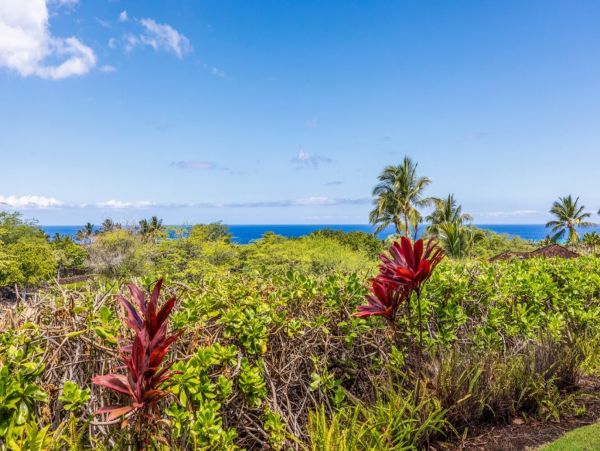 Kohala Coast Home 1000841