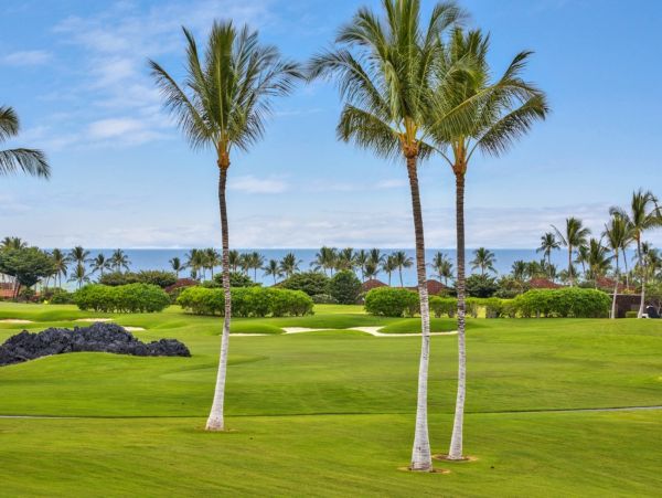 Kohala Coast Home 1000842