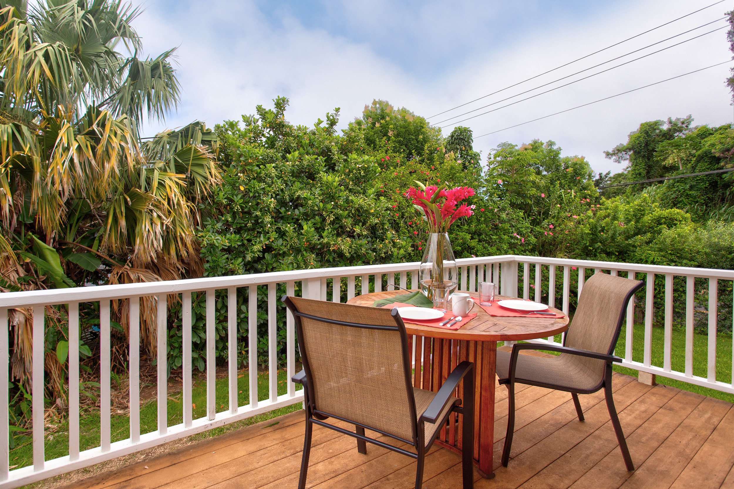 Kohala Coast Home 1000843