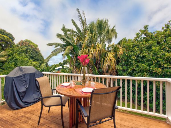 Kohala Coast Home 1000843
