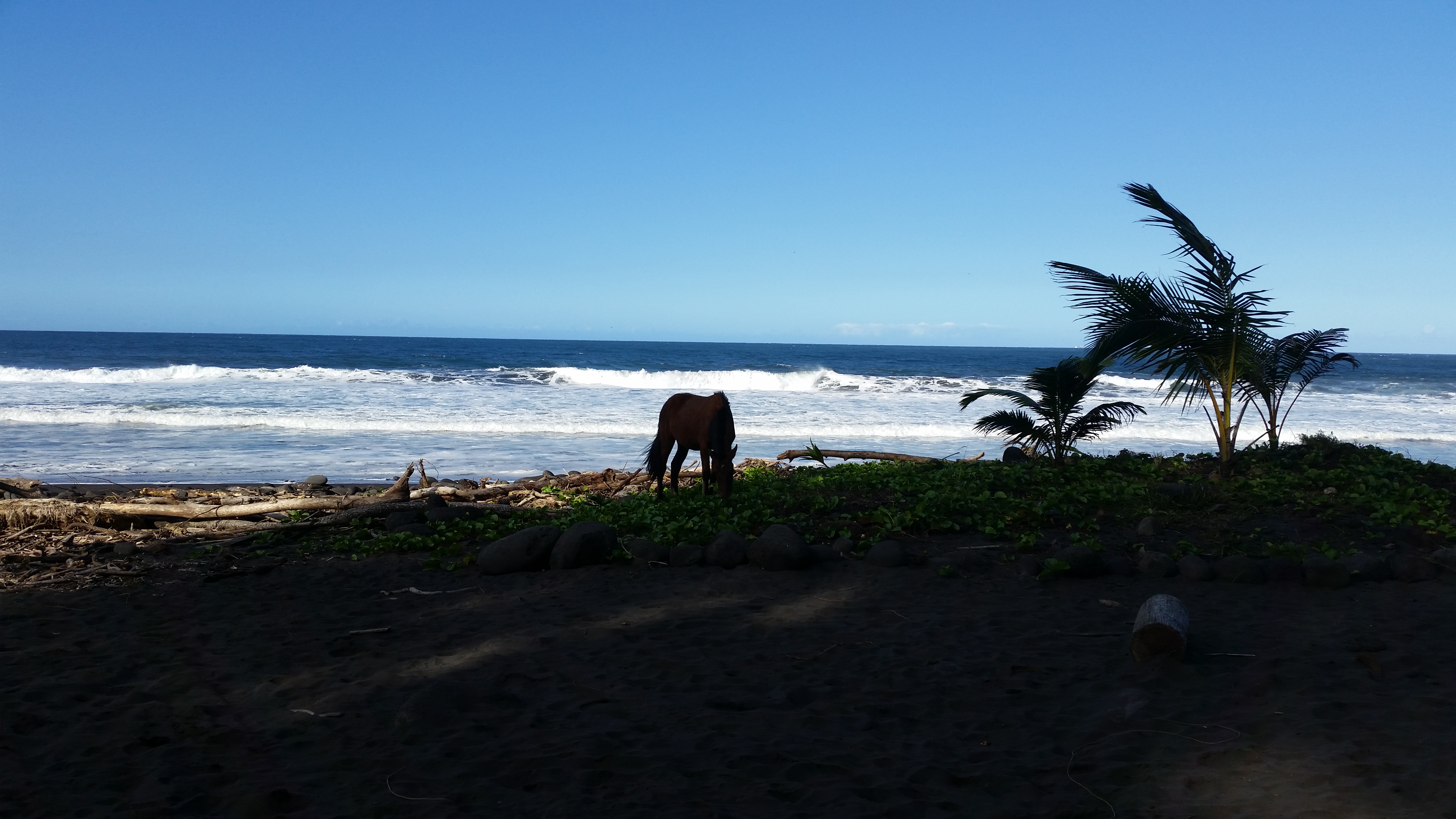 Kohala Coast Home 1000843