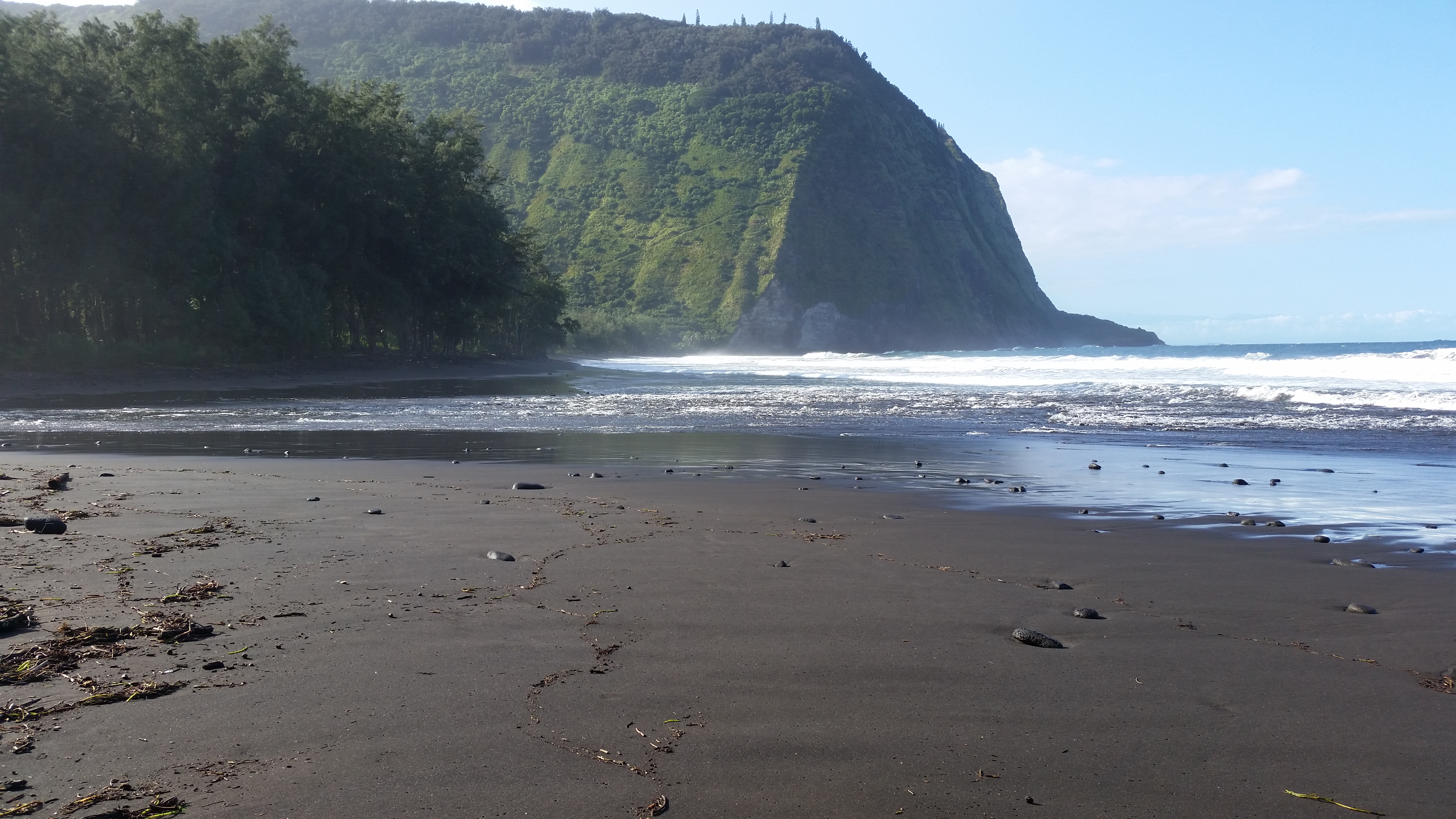 Kohala Coast Home 1000843