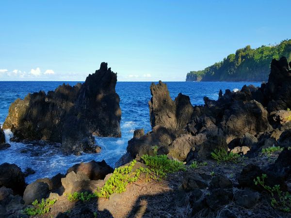 Kohala Coast Home 1000843