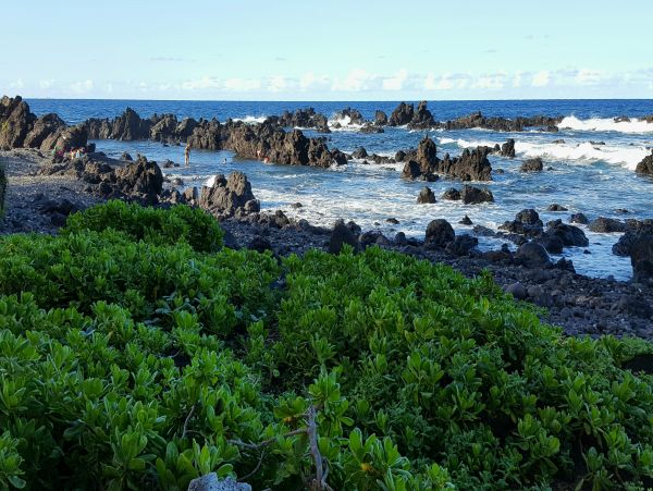 Kohala Coast Home 1000843