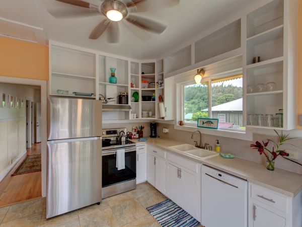 Kohala Coast Home 1000843
