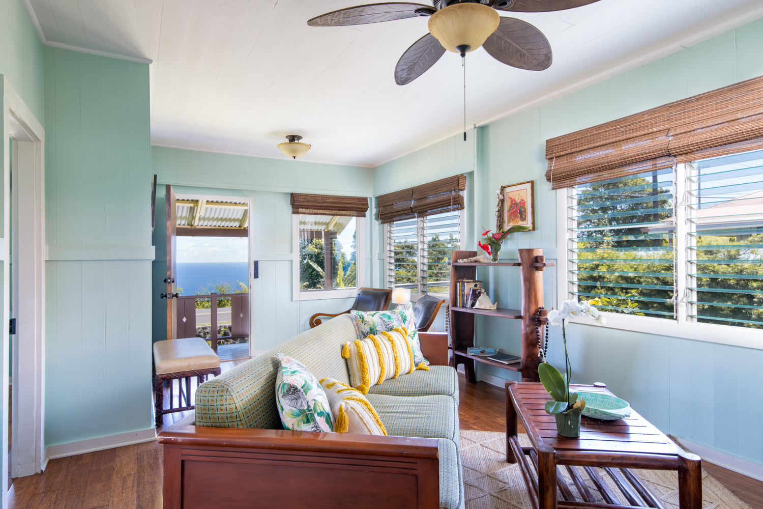 Kohala Coast Home 1000844