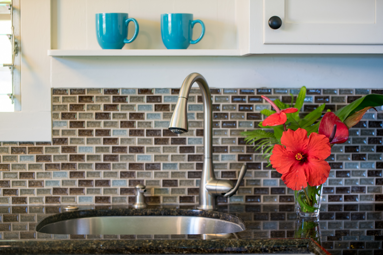 Kohala Coast Home 1000844